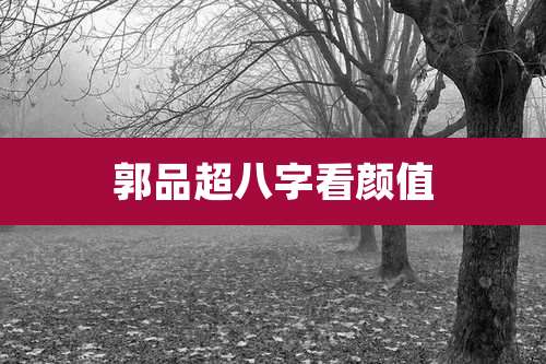 郭品超八字看颜值
