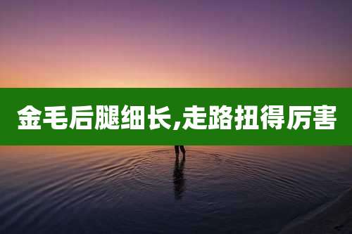 金毛后腿细长,走路扭得厉害