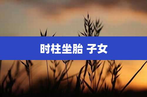 时柱坐胎 子女