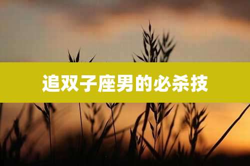 追双子座男的必杀技