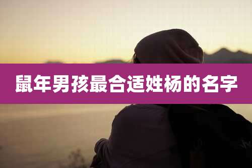 鼠年男孩最合适姓杨的名字