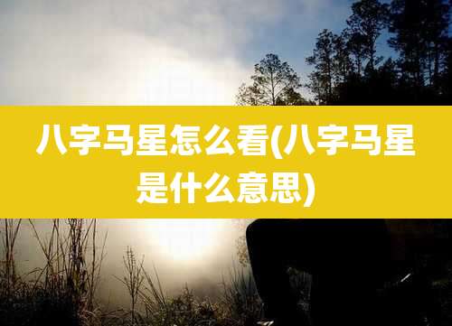 八字马星怎么看(八字马星是什么意思)