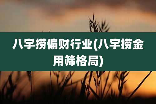 八字捞偏财行业(八字捞金用筛格局)