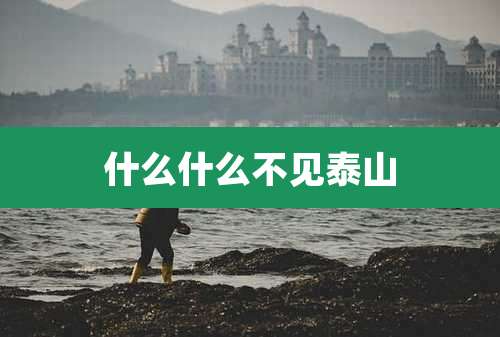 什么什么不见泰山