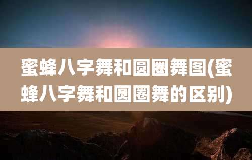 蜜蜂八字舞和圆圈舞图(蜜蜂八字舞和圆圈舞的区别)