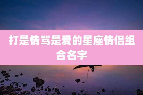 打是情骂是爱的星座情侣组合名字
