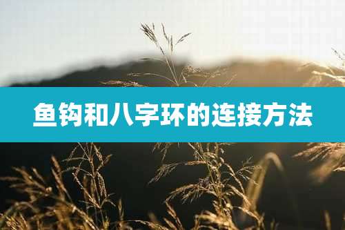 鱼钩和八字环的连接方法