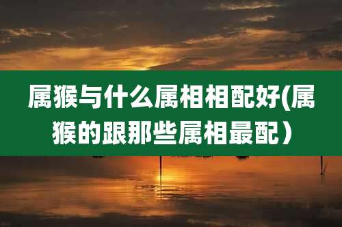 属猴与什么属相相配好(属猴的跟那些属相最配）