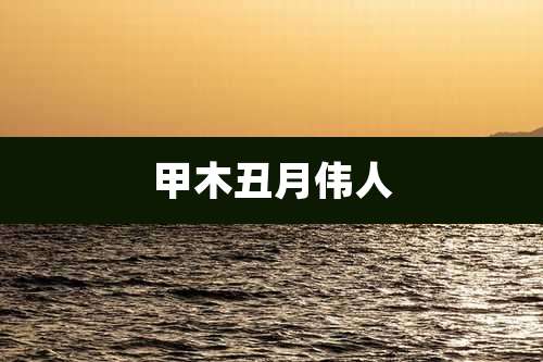 甲木丑月伟人