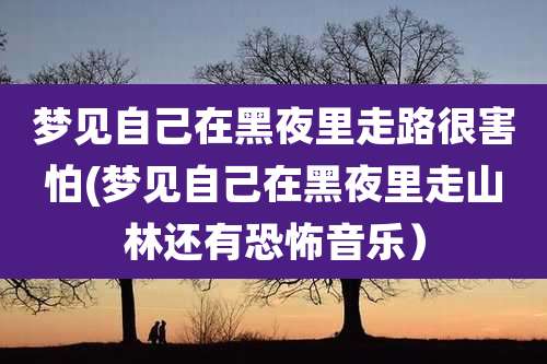 梦见自己在黑夜里走路很害怕(梦见自己在黑夜里走山林还有恐怖音乐)