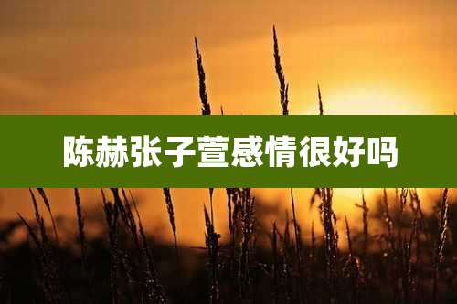 陈赫张子萱感情很好吗