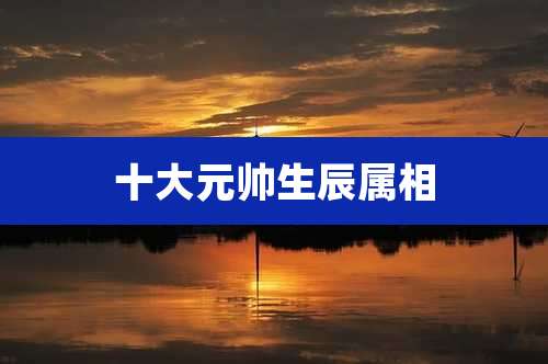 十大元帅生辰属相