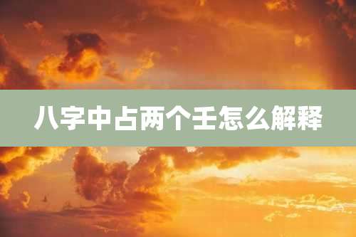 八字中占两个壬怎么解释