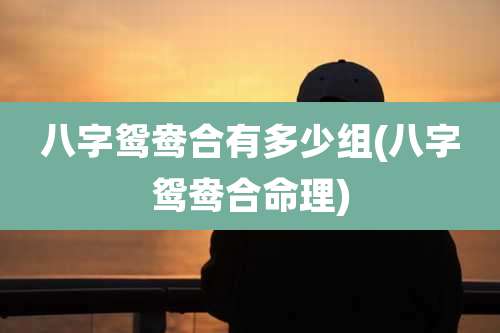 八字鸳鸯合有多少组(八字鸳鸯合命理)