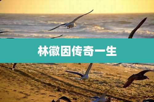 林徽因传奇一生