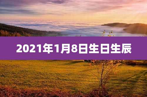 2021年1月8日生日生辰