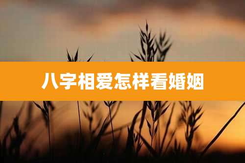 八字相爱怎样看婚姻