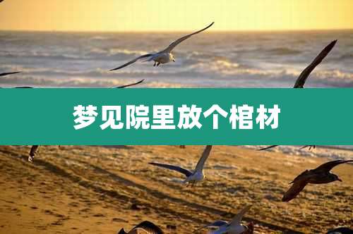 梦见院里放个棺材