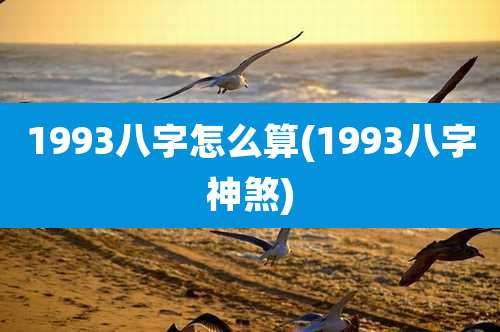 1993八字怎么算(1993八字神煞)