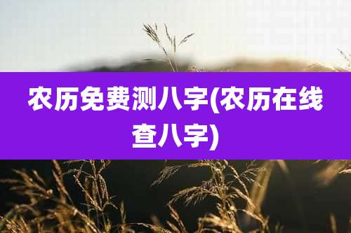农历免费测八字(农历在线查八字)
