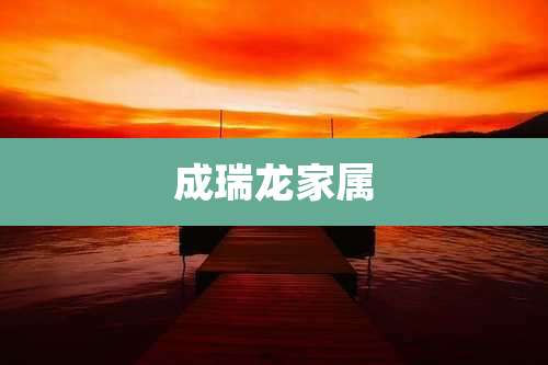 成瑞龙家属