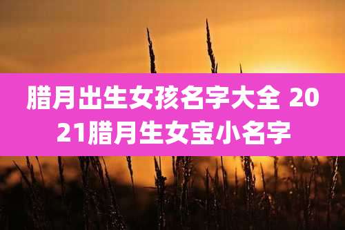 腊月出生女孩名字大全 2021腊月生女宝小名字