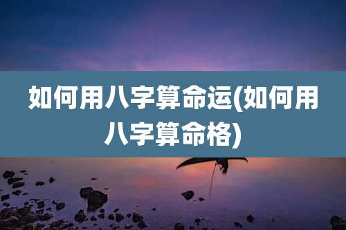 如何用八字算命运(如何用八字算命格)