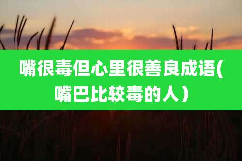 嘴很毒但心里很善良成语(嘴巴比较毒的人）