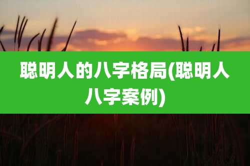 聪明人的八字格局(聪明人八字案例)
