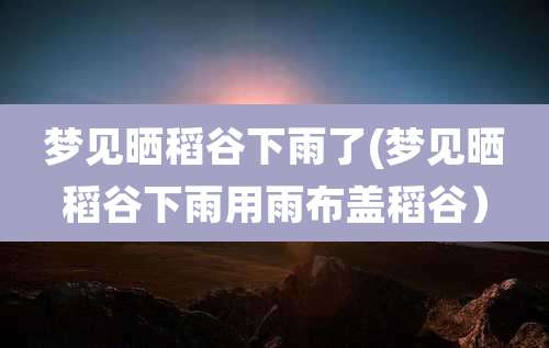 梦见晒稻谷下雨了(梦见晒稻谷下雨用雨布盖稻谷)
