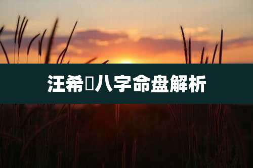 汪希玥八字命盘解析