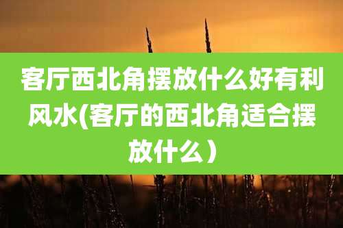 客厅西北角摆放什么好有利风水(客厅的西北角适合摆放什么)