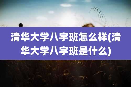 清华大学八字班怎么样(清华大学八字班是什么)
