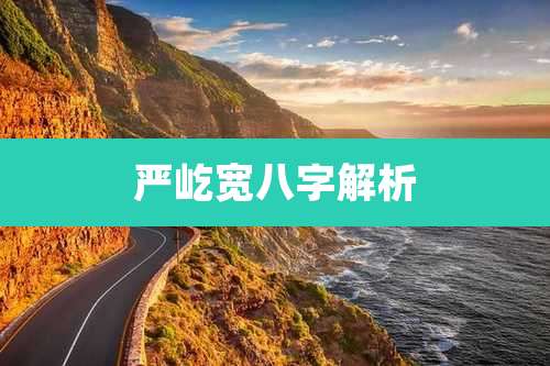 严屹宽八字解析