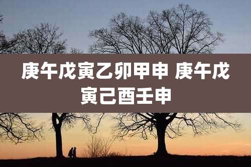 庚午戊寅乙卯甲申 庚午戊寅己酉壬申