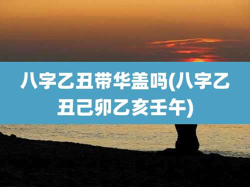 八字乙丑带华盖吗(八字乙丑己卯乙亥壬午)