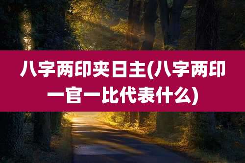 八字两印夹日主(八字两印一官一比代表什么)
