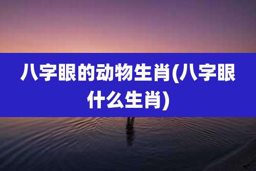 八字眼的动物生肖(八字眼什么生肖)