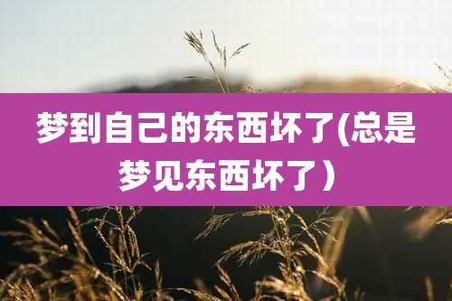 梦到自己的东西坏了(总是梦见东西坏了)