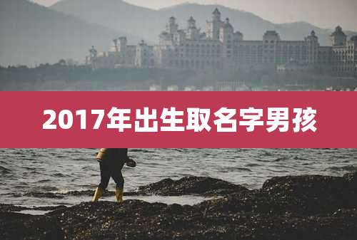 2017年出生取名字男孩