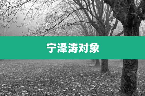 宁泽涛对象