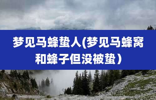 梦见马蜂蛰人(梦见马蜂窝和蜂子但没被蛰）