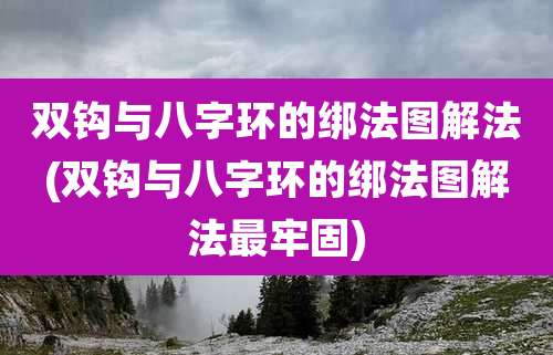 双钩与八字环的绑法图解法(双钩与八字环的绑法图解法最牢固)