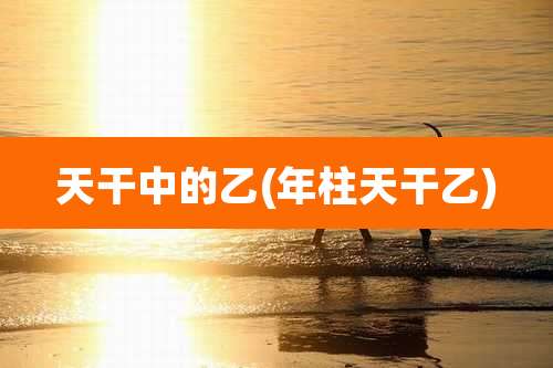 天干中的乙(年柱天干乙)