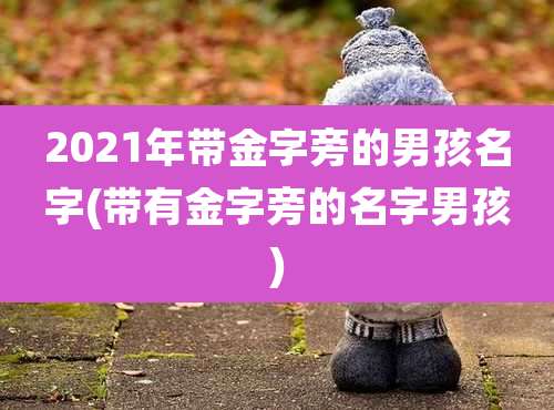 2021年带金字旁的男孩名字(带有金字旁的名字男孩)