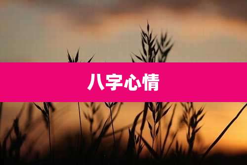 八字心情