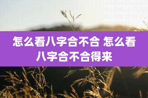 怎么看八字合不合 怎么看八字合不合得来