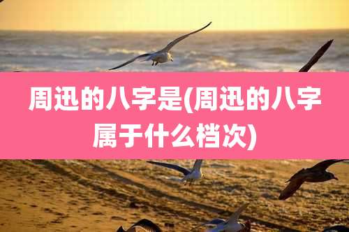 周迅的八字是(周迅的八字属于什么档次)