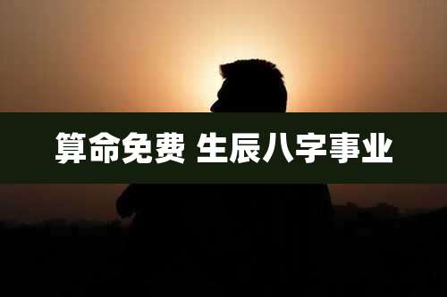 算命免费 生辰八字事业