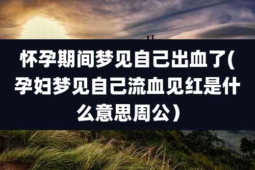 怀孕期间梦见自己出血了(孕妇梦见自己流血见红是什么意思周公)